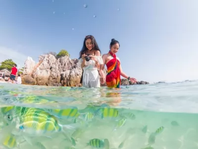 Island Tours