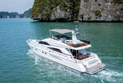 Island Tours