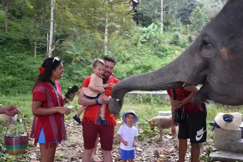 Half Day Elephants care by Kerchor
