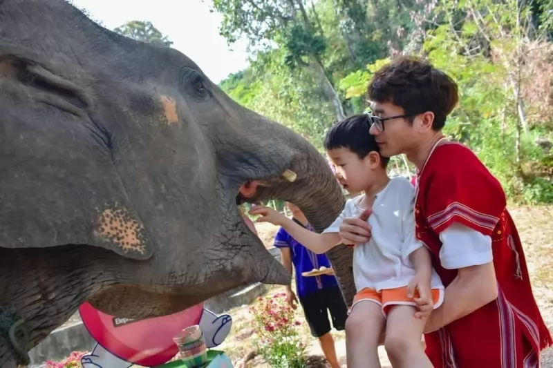 Half Day Elephants care by Kerchor