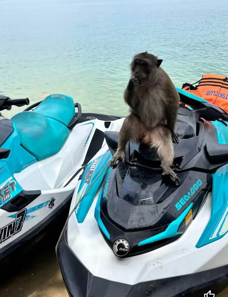 Phuket Jet Ski 6 Islands half day trip