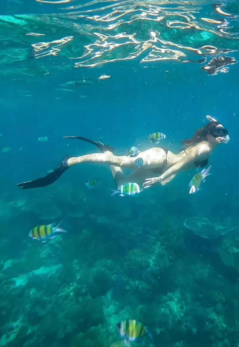 PhiPhi Maya Khai Island By Speedboat Seastar