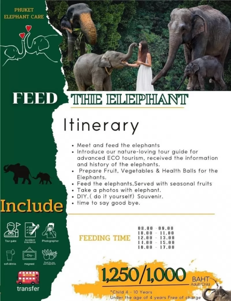 Feed And Spa Elephant By PECS